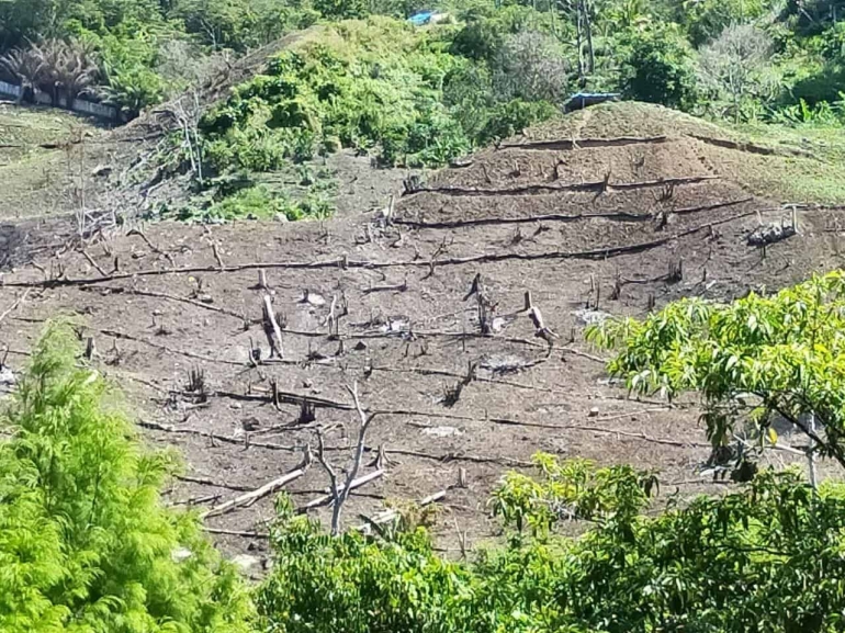     Foto ilustrasi, salah satu sisi pegunungan Dobonsolo yang sudah ditebang pohonnya untuk dijadikan lahan pertanian. - Jubi/Ramah