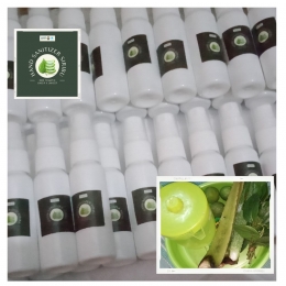 Hand sanitizer SIRIBU (Sirih, Lidah Buaya)-Dokpri