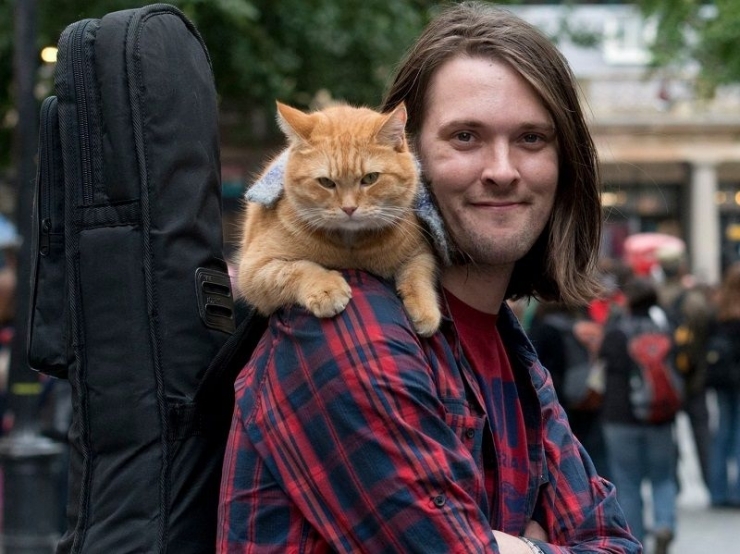 James Bowen dan kucingnya, Bob. Sumber: Facebook 'A Streetcat Named Bob' via Gramedia.com
