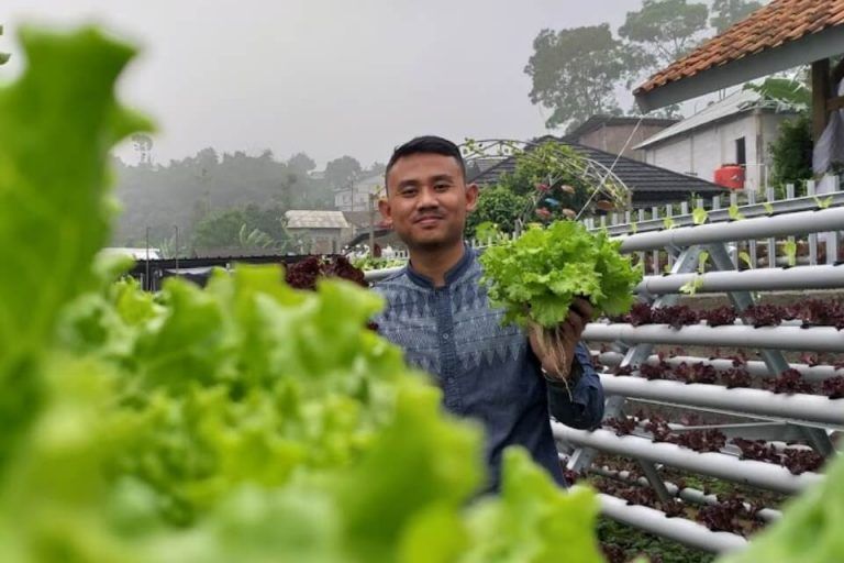 Aziz Abdul Rahman petani hidroponik milenial dari Kabupaten Bogor. Sumber: petanidigital.id