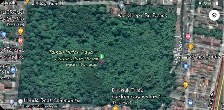 Cagar Alam Cornelis Chastelein, Pancoran Mas, Depok Lama. Screenshot dari Google Map.