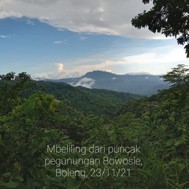 Pegunungan Mbeliling di Kab.Manggarai Barat dokdimana terdapat salah satu burung endemik 