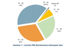 Populasi PNS menurut usia (Data BKN, 30/6/2021).