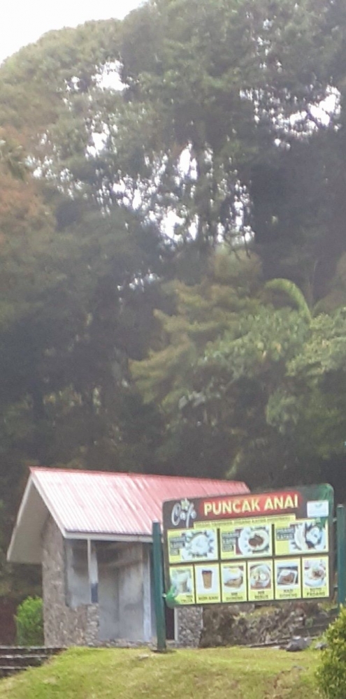Puncak Anai, Kabupaten Padang Pariaman, propinsi Sumatera Barat. Dok. Pribadi