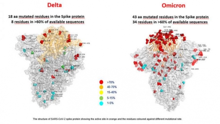 Perbedaan profil Omicron dibanding Delta menurut ANSA (Foto: ANSA).