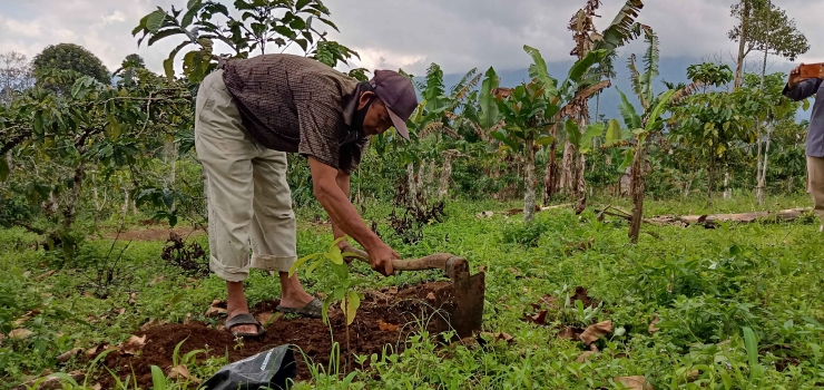 Gambar : Menanam Pohon (doc pribadi)