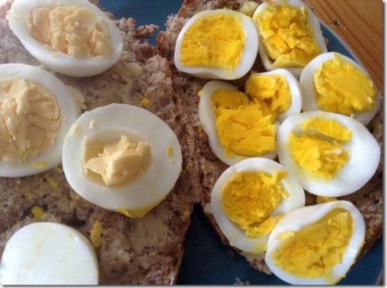 Warna kuning telur ayam kapas yang unik (kanan) jika dibandingkan dengan warna kuning telur ayam lain yang dipelihara free ranch . Photo: permaculturenews.org