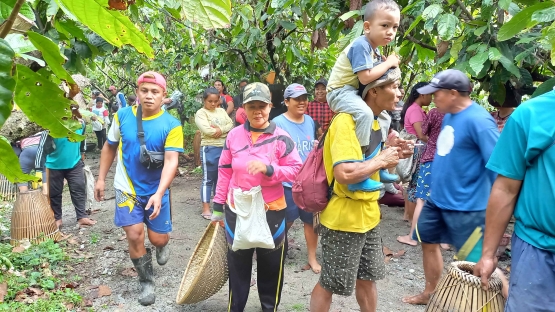 Dengan membawa hangu dan pehao, masyarakat bersiap menangkap ikan di kolam tradisional Desa Tuare, di Lembah Bada Sulawesi Tengah, November 2021. (@Hanom Bashari) 