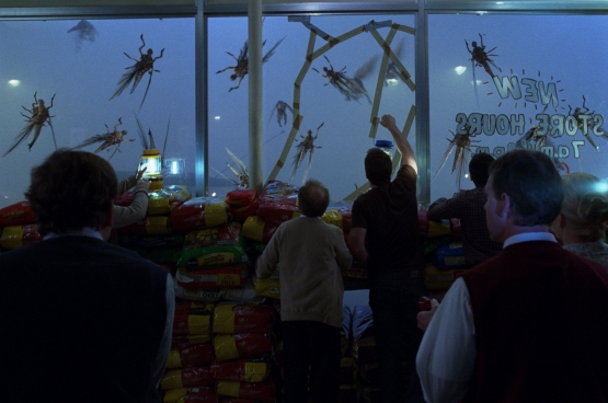 The Mist berhasil mendapatkan pemasukan sebesar 57.470.220 Dollar AS. Sumber: IMDB