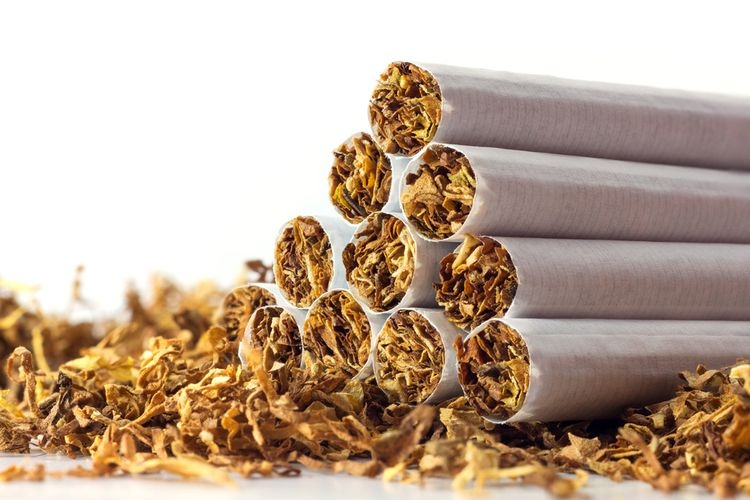 Ilustrasi rokok tembakau, konsumsi tembakau. (sumber: SHUTTERSTOCK/Maren Winter via kompas.com)