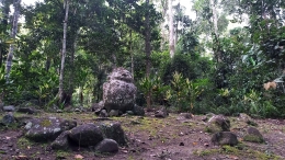Arca Lempe di Situs Lempe, berdiri miring ke belakang, sering disebut watu-tokalaea atau batu hamil, di Lembah Behoa Sulawesi Tengah (@Hanom Bashari) 