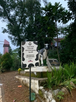 Kampung Tematik Sapi Perah di Kelurahan Gedawang RW 10 (dokpri)