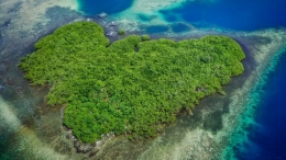 Pulau Sibu dengan ekosistem hutan mangrovenya yang masih alami. (Foto : Sofyan Ansar)