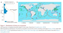 Gambar 2. Distribusi Ekosistem Laut Dalam (Liang, dkk. 2021:2)