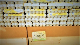 ket.foto: harga telur di Australia berkisar 2 dollar perlusin  dokumentasi pribadi