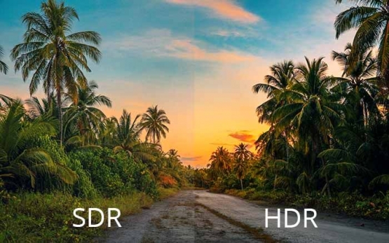 Contoh Perbedaan SDR (Standard Dynamic Range) dibanding HDR (High Dynamic Range) 2 [Sumber Gambar: Lumina Screens]