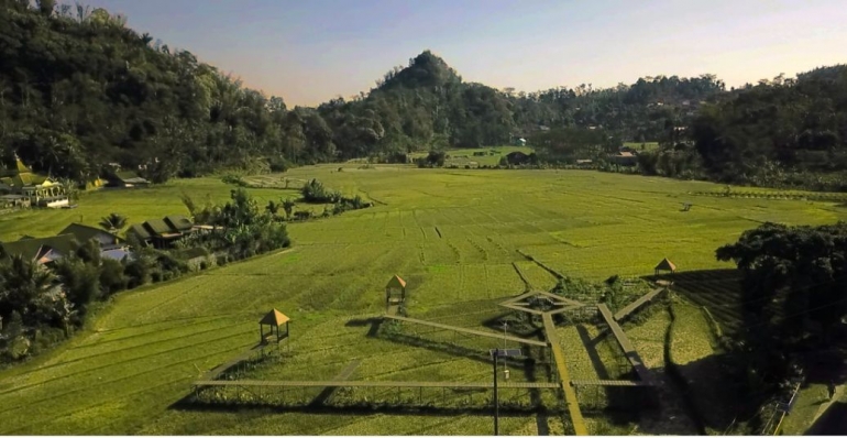 Jembatan Sawah (rice field bridge) in the mid of the rice field, (Doc. by: muncarmoncer.com)