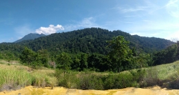 Salah satu lanskap Taman Nasional Bogani Nani Wartabone di Gorontalo (@Hanom Bashari)