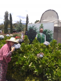 Ibuku saat berkunjung ke Kebun Begonia Lembang- Bandung, 2017. Sumber Ilustrasi: Dokumen Pribadi. 
