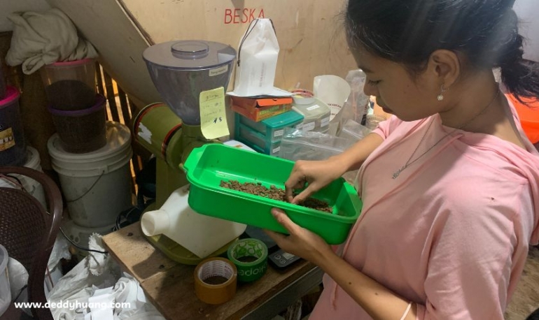 Sebelum mengemas kopi untuk pembeli, disortir kembali dan ditimbang kembali (sumber: deddyhuang.com)
