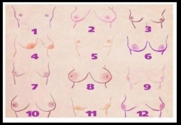 Ilustrasi berbagai bentuk payudara dengan kepribadian masing-masing (Sumber: liputan6.com)