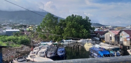 salah satu kawasan mangrove yang tersisa di area reklamasi Mangga Dua-Toboko Kota Ternate (Dokumentasi Pribadi)