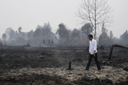Presiden Jokowi meninjau penanganan kebakaran lahan di Desa Merbau, Kecamatan Bunut, Pelalawan, Riau, Selasa (17/9/2019). ANTARA FOTO/Puspa/kompas.com