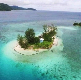 Pulau Pagama sebelum deforestasi (nusantaratimur.com)