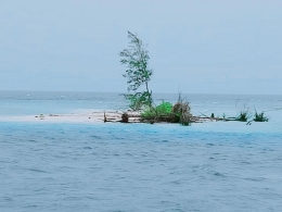 Pulau Pagama setelah deforestasi (nusantaratimur.com)