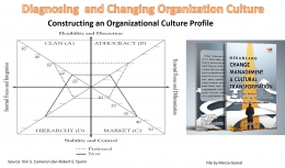 Image: Constructing an Organizational Cultural Profile (File by Merza Gamal) 