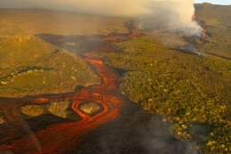 Ilustrasi hutan terbakar.| Sumber: AP PHOTO/Wilson Cabrera via Kompas.com