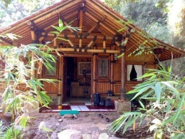 Rumah bambu modern (pinterest.com)