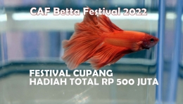 CAF Betta Festival 2022 digelar 13-16 Januari 2022 di kawasan Trans Studio Bandung, Jawa Barat. Foto: Dok CBF