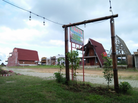 Menanam pohon jeruk dan mangga di halaman rumah (Dokumentasi Pribadi)