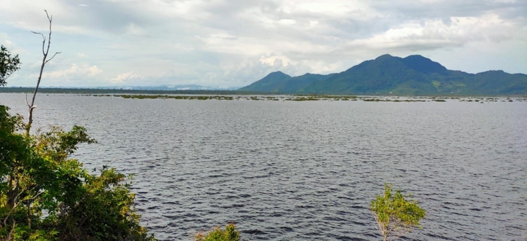 Pemandangan air danau Sentarum selagi meluap, disaat berbeda air mengering bahkan dasarnya bisa untuk berkendara dengan roda dua.(Dokpri)