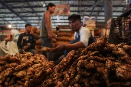 Pedagang rempah - rempah membersihkan jahe di Pasar Induk Kramat Jati, Jakarta Timur, Jumat, (13/3/2020). Harga Jahe merah naik pasca virus corona terdeteksi pertama kali di Indonesia pada 2 Maret lalu. Harga Jahe merah menembus angka Rp.100.000/kg.(KOMPAS.com/Syahrul Ramdhani)