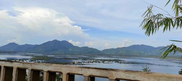 Panorama Danau Sentarum dari atas menara di Pulau Sepandan/dokpri