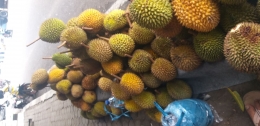 Durian (Dokumentasi Pribadi)