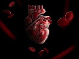 Penyakit Jantung Koroner, sering disebut di kalangan dokter sebagai PJK sebuah penyakit yang menyerang arteri (pembuluh darah) koroner (gambar: Ursoialex/Freepik)