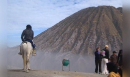 Ke puncak bisa naik kuda (dokpri) 