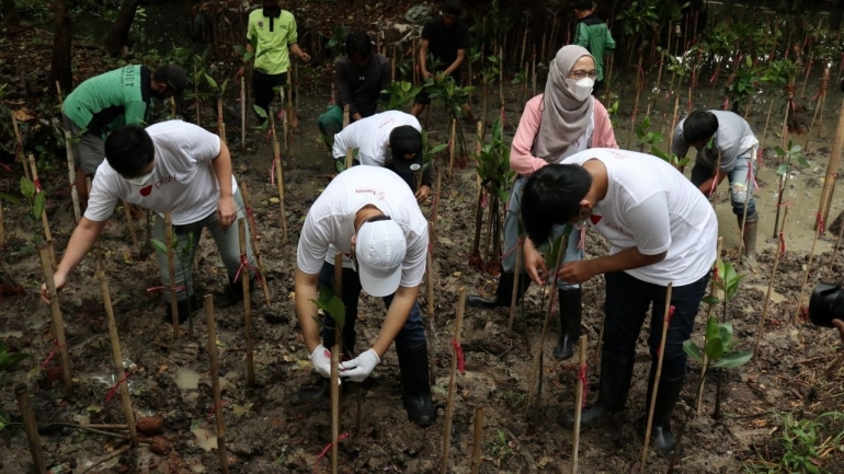 Perwakilan dari Privy.ID terlibat dalam aktivitas penghijauan di kawasan hutan mangrove PIK, Jakarta Utara (Foto oleh LindungiHutan).