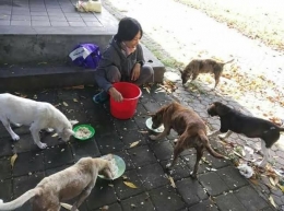Memberi Makan Anjing Terlantar | Sumber Poros Bali