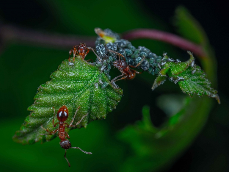 Photo by Egor Kamelev from Pexels 