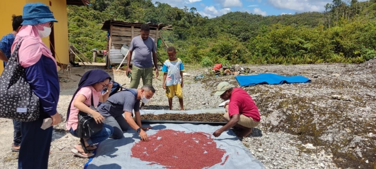 Kacang merah, hasil bumi di tanah Papau yang menghiurkan/Dokumentasi pribadi