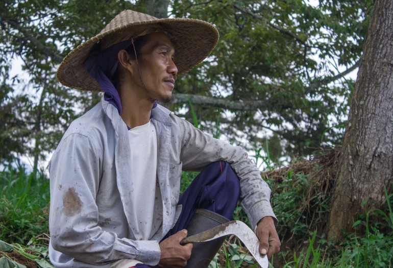 Samin dan Pohon Jati - Photo by Kurt Za/Pexels