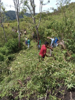 [Masyarakat Desa Wolokelo Bergotong royong membuka jalur tracking menuju Bukit Kingaria]