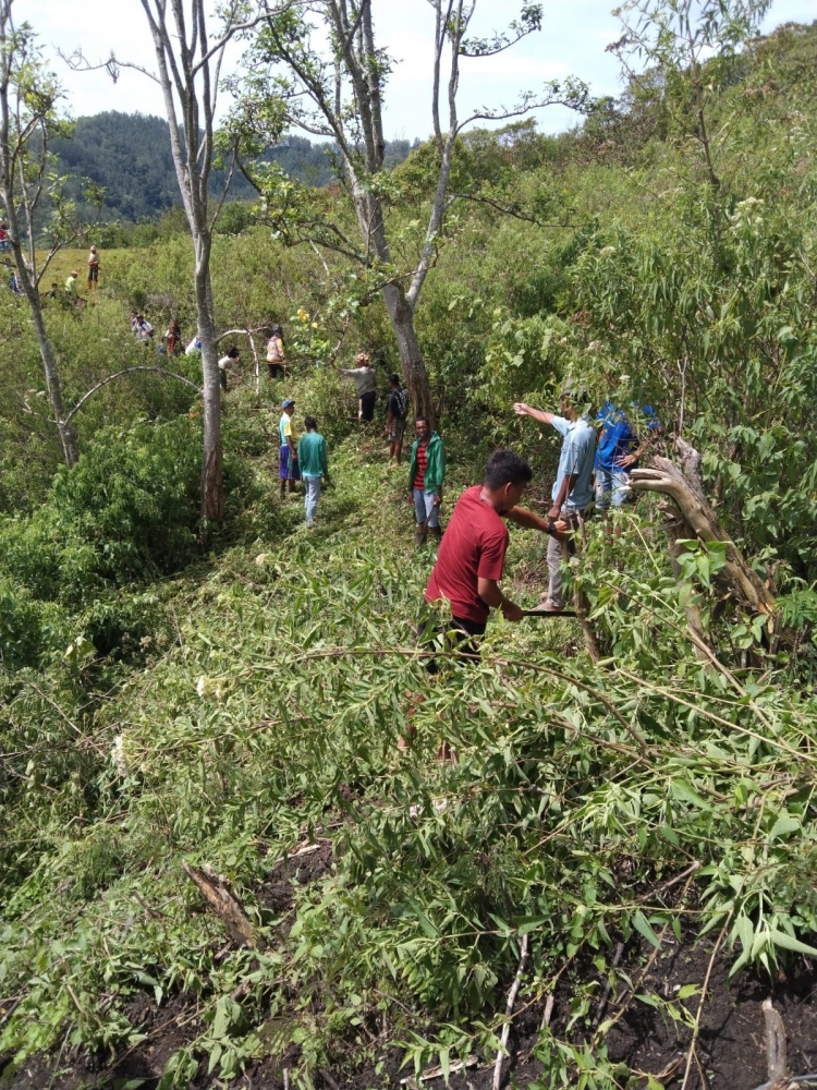[Masyarakat Desa Wolokelo Bergotong royong membuka jalur tracking menuju Bukit Kingaria]