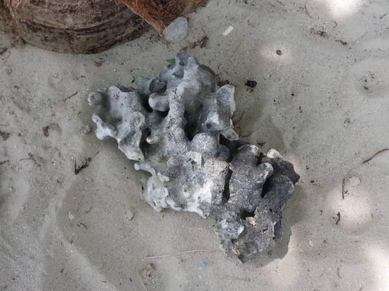 Pecahan batu karang di The Virgin Beach. Dokumentasi pribadi