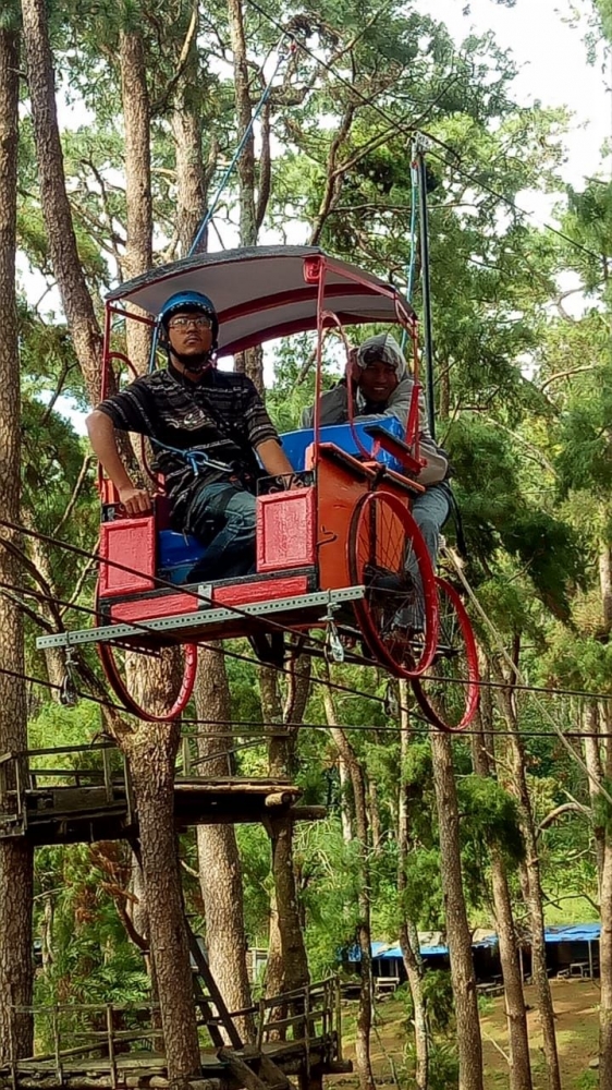 Kancut Rombeng Hutan Pinus Rombeng menjadi destinasi wisata unggulan Kabupaten ...