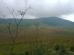 Padang savana dilihat dari bukit Bantengan, perbatasan Malang, Probolinggo, dan Lumajang. Dokumen pribadi.